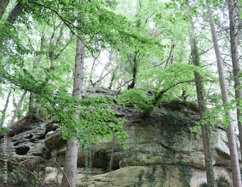 KUELSCHEIER, REGION MULLERTHAL. LUXEMBURGO. EUROPA. photo