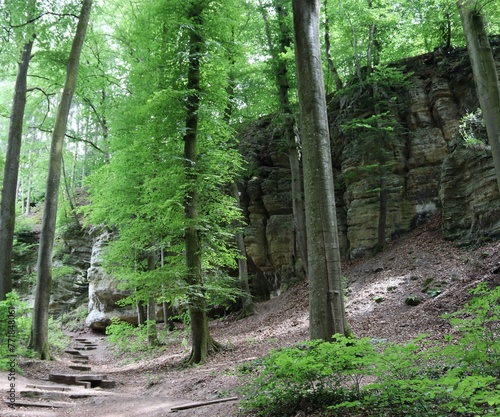 KUELSCHEIER. MULLERTHAL - REGION. LUXEMBURGO, EUROPA photo