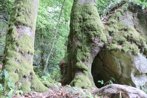 KUELSCHEIER, REGION MULLERTHAL. LUXEMBURGO. EUROPA. photo