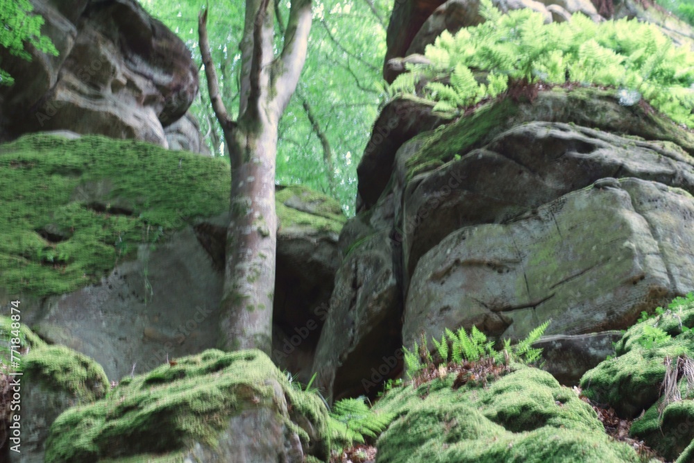 KUELSCHEIER, REGION MULLERTHAL. LUXEMBURGO. EUROPA. KUELSCHEIER, REGION MULLERTHAL. LUXEMBURGO. EUROPA.