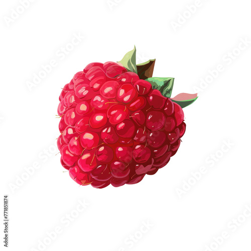 Raspberry fruit with green stem on transparent background