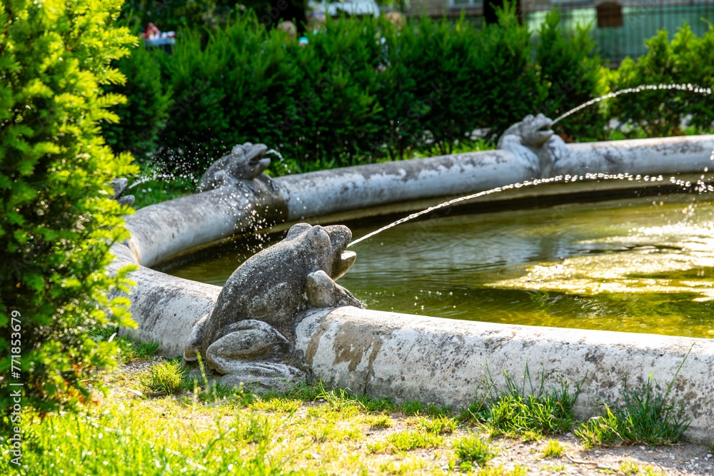 Frogs Spouting Water at Fontana dei Cavalli Alati Frogs Spouting Water at Fontana dei Cavalli Alati