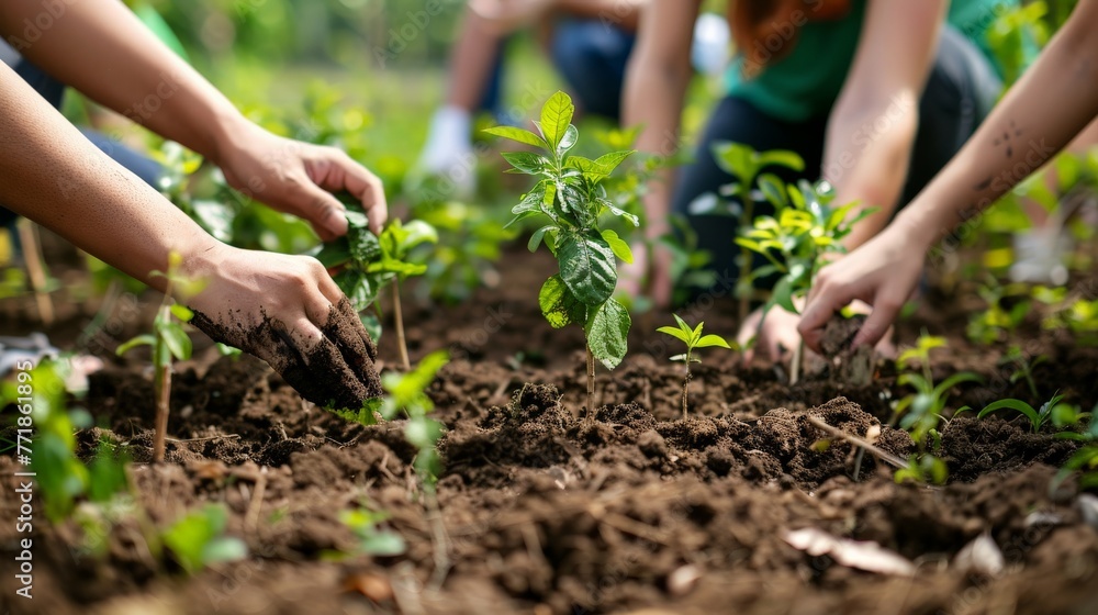 An image capturing the hands of diverse volunteers planting trees in a deforested area, symbolizing hope and the collective effort to restore natural habitats. An image capturing the hands of diverse volunteers planting trees in a deforested area, symbolizing hope and the collective effort to restore natural habitats.