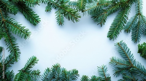 White empty banner and fir trees  Blank business card with Christmas tree branches  for Free space for design  Invitation to an event or party. Advertising information