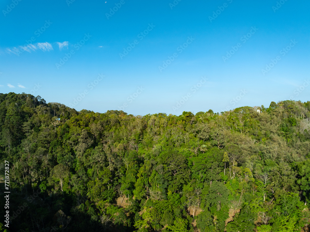 Aerial view Drone camera rainforest trees ecology with healthy environment concept and summer background