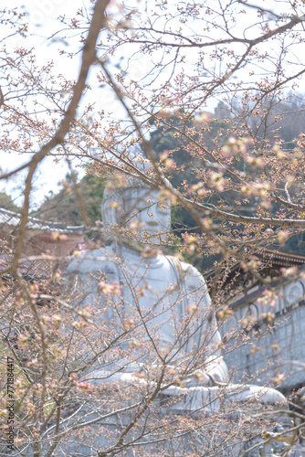 Wallpaper Mural 壷阪寺 Torontodigital.ca