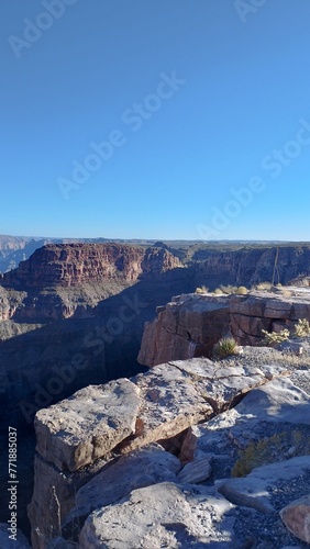 The Grand Canyon View