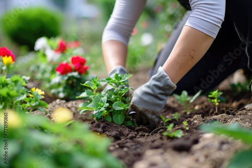 Gardener beautifying outdoor spaces with meticulous care, A diligent gardener meticulously beautifying outdoor spaces.