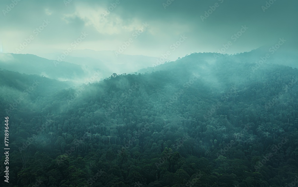 An aerial view of the forests, in an organic minimalism, green, and intricate texture style.