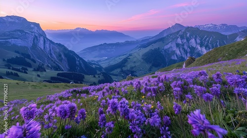 Purple flowers on a mountain meadow, view over Saentis mountains into the valley of Meglisalp at sunrise, Saentis, Appenzell Ausserrhoden, Appenzell Alps, Switzerland, ,Generative ai, 