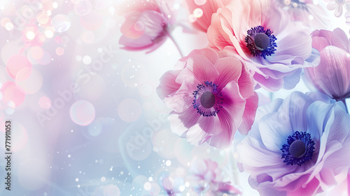 pink and purple background with magical sparkling flowers. beautiful anemones in splendor. floral background with space for text
