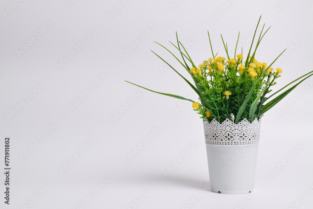 Baby Breath Flower Plant, decorative plastic flower plant isolated on white background. Interior decoration