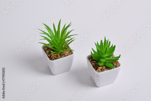 Plastic green plants in pots. Fake plant in a pot isolated on a white background. Interior decoration.