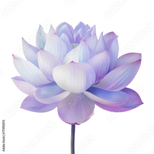 Purple and white lotus on transparent background, symbolizing purity and beauty