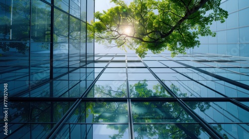 Sustainable green building, Eco friendly building. Sustainable glass office building with tree for reducing carbon dioxide, Office with green environment, Corporate building reduce CO2, Safety glass