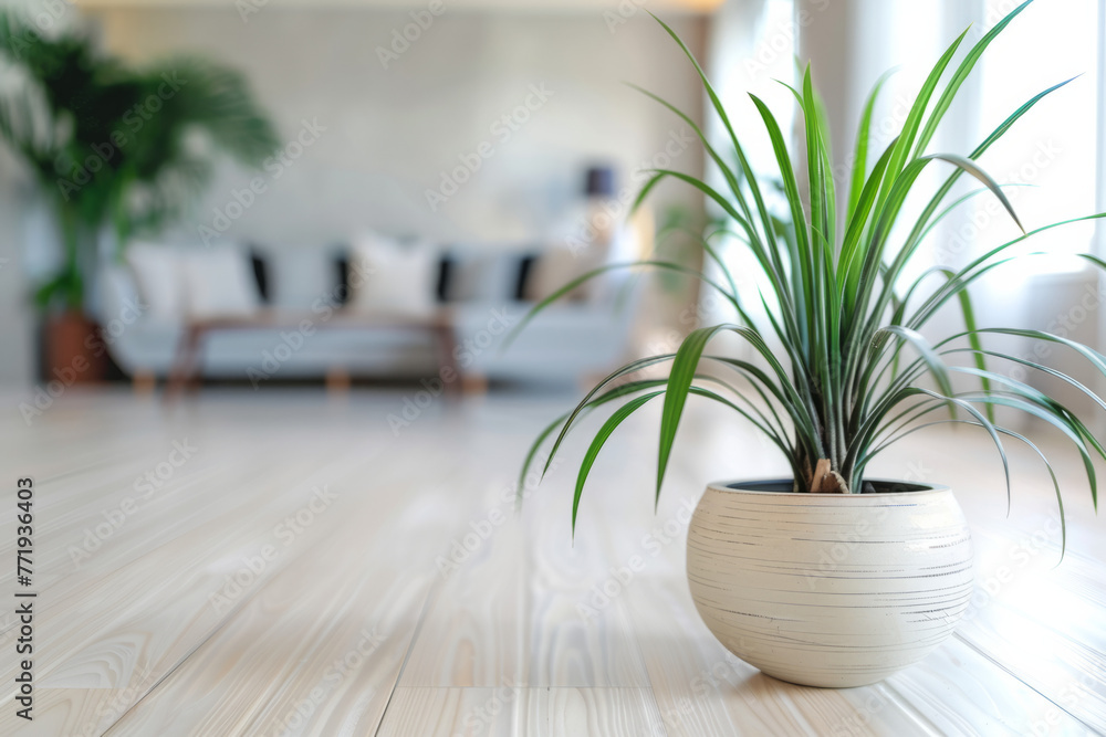 A modern living room interior design featuring a natural green plant pot on a glossy white wooden floor - obrazy, fototapety, plakaty 