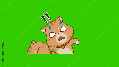 Appalled animation, Cute cat on green screen