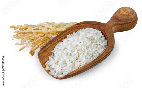 rice in brown wooden scoop with ears isolated on white