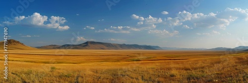 Expansive golden field under a blue sky panorama - Vast panorama of a golden field stretching to distant hills under a sweeping blue sky, evoking a sense of space and freedom