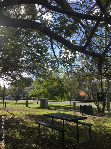 bench in the park