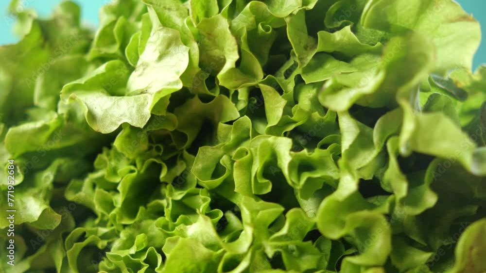 green lettuce leaves on a chopping board on table green lettuce leaves on a chopping board on table