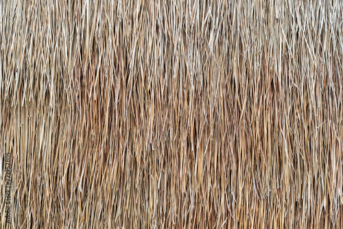 Photography straw wall by dry grass to hay stack background or brown nature roof texture for