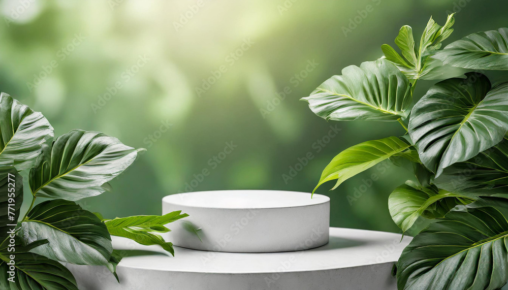 Biophilic Presentation: 3D Rendered White Podium with Organic Leaf Decoration Biophilic Presentation: 3D Rendered White Podium with Organic Leaf Decoration