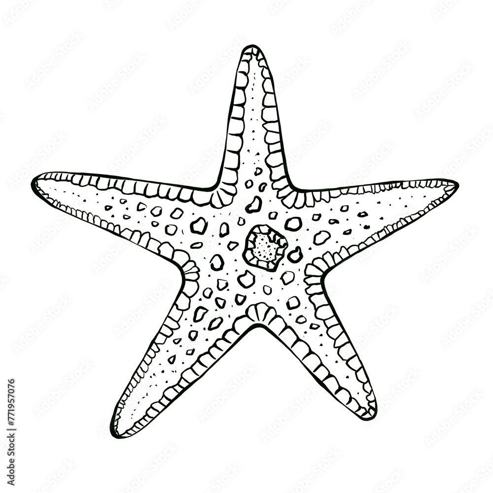 Underwater world with sea animals. Hand drawn graphic illustration of a starfish. Drawn in black ink in sketch style. Isolated on white background, design for packaging, children's coloring books Underwater world with sea animals. Hand drawn graphic illustration of a starfish. Drawn in black ink in sketch style. Isolated on white background, design for packaging, children's coloring books
