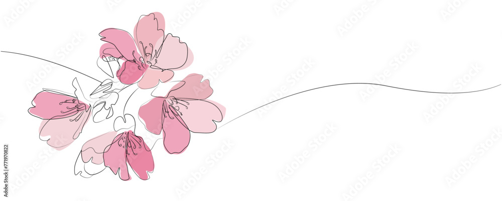 custom made wallpaper toronto digitalSpring Cherry blossom bloom concept line illustration. Sakura hand drawn line icon. Pink Cherry blossom illustration.