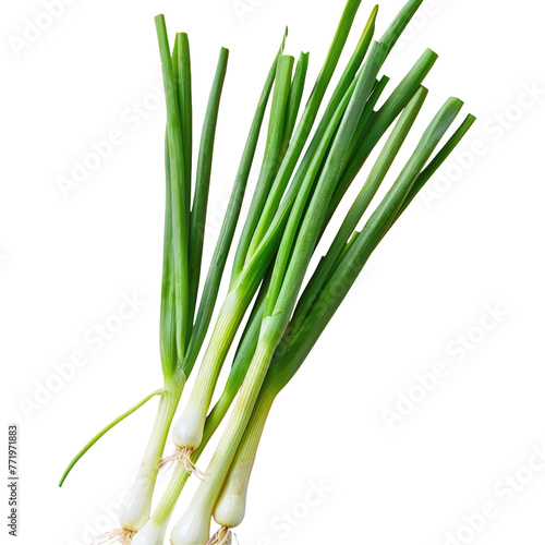 Green onions  a staple food ingredient  on a transparent background