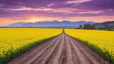 Colorful purple sunset over a field of yellow rapeseed