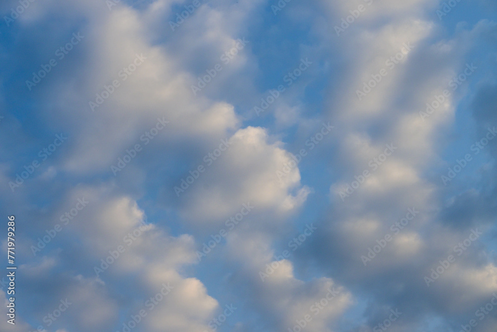 Obraz premium 青空と白いワタのような雲