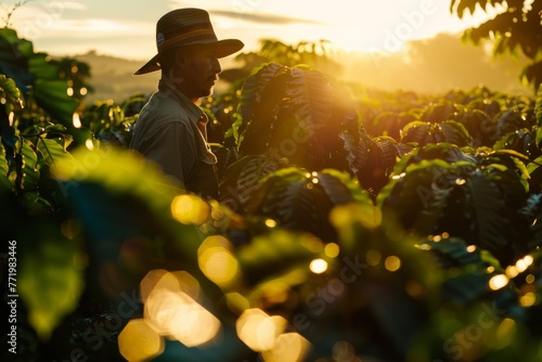 A man wearing a hat is standing in a field during dusk, with warm golden light casting long shadows around him