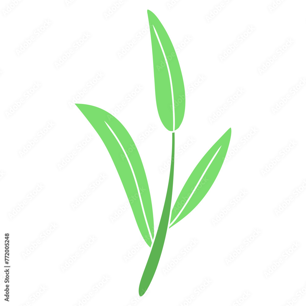 Obraz premium plant green leaf