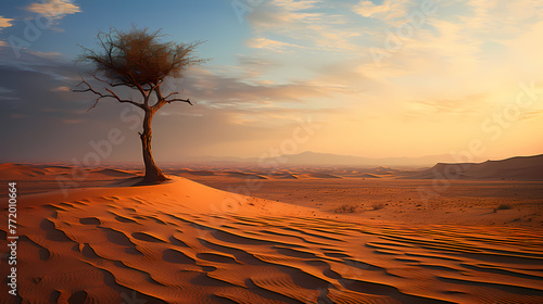 Lonely tree in the desert photo