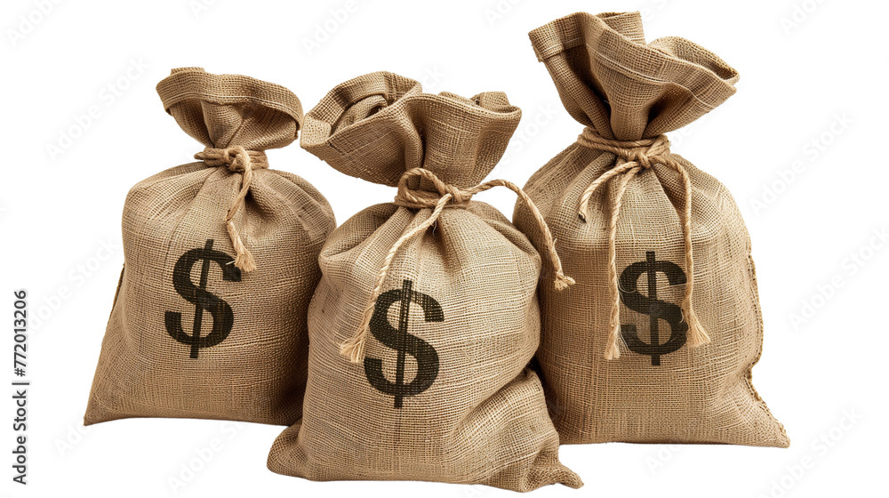 custom made wallpaper toronto digitalMoney bags with dollar signs, isolated on a transparent background