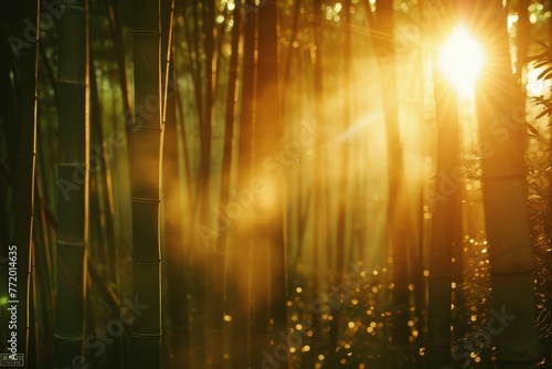 Tranquil bamboo forest, sunlight filtering through tall, slender stalks.