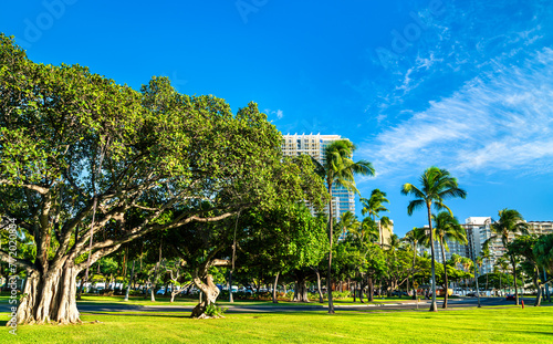 Obraz na plátne Banyan trees at Fort DeRussy Beach Park in Honolulu - Oahu Island, Hawaii