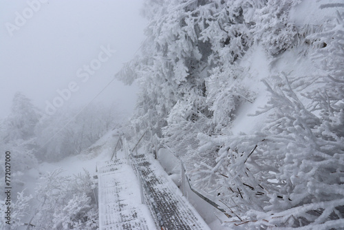 冬の石鎚山の登山道