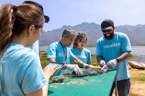 Bild auf Leinwand Team of ecologist volunteer pulling non biodegradable micro plastic from the end