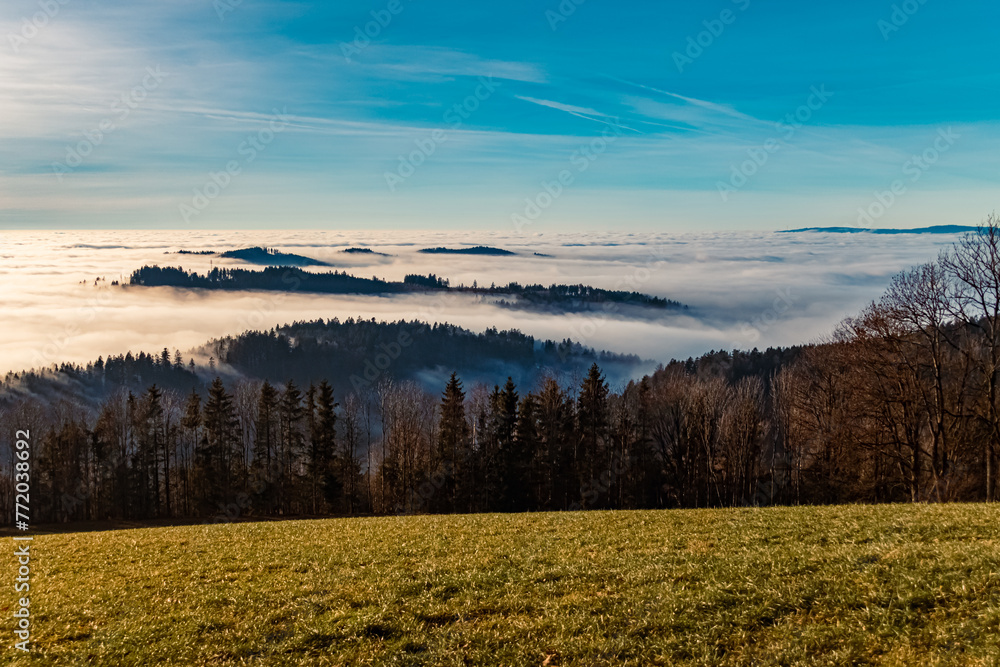Winter view above the clouds near Kostenz, Perasdorf, Straubing-Bogen, Bavarian forest, Bavaria, Germany