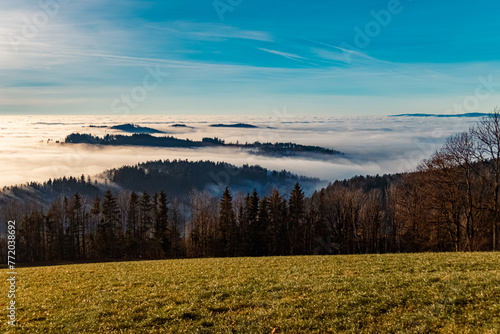 Winter view above the clouds near Kostenz, Perasdorf, Straubing-Bogen, Bavarian forest, Bavaria, Germany