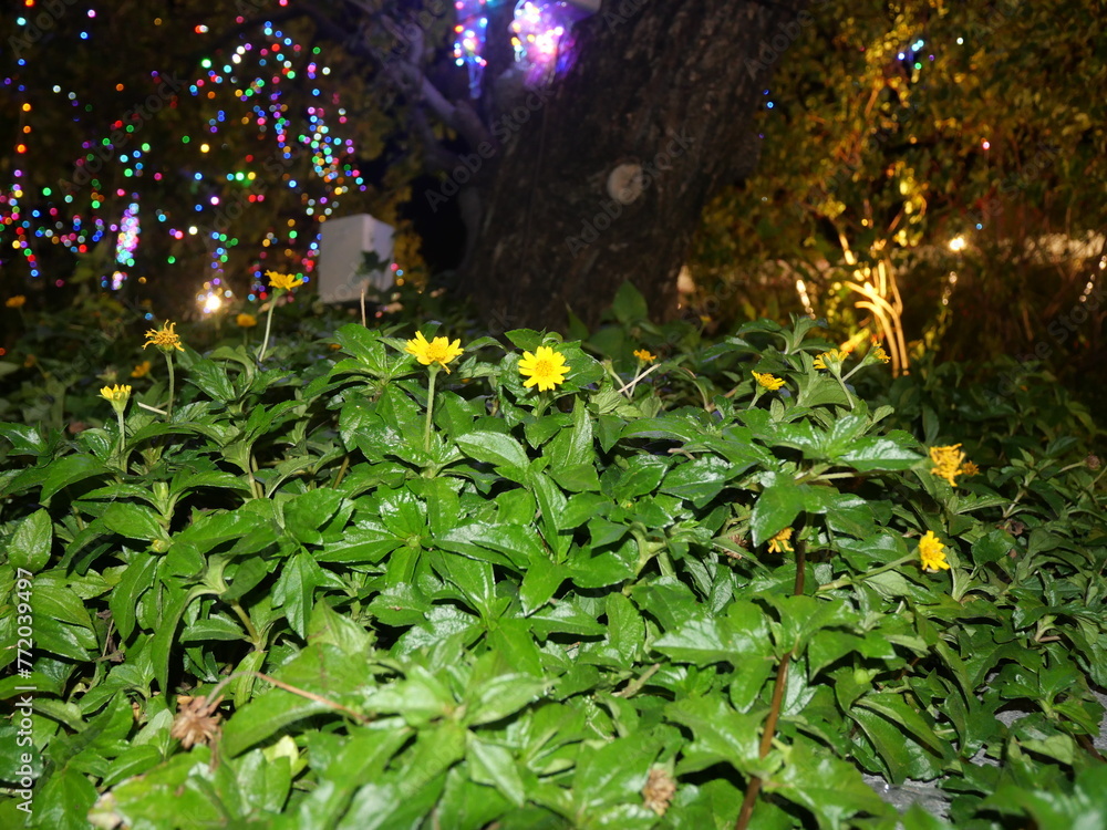 The flower garden is decorated with bulbs that glow a beautiful yellow color at night