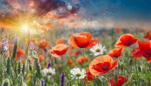 Blooming Beauty: Spring Meadow Splendor with Red Poppies"