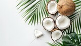 Fresh coconuts and tropical palm leaves frame a clean white background, perfect for wellness themes, organic product layouts, or spa marketing materials.