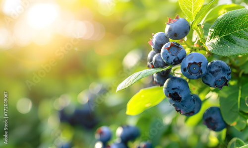 blue berries on garden background with copy space, Generative AI