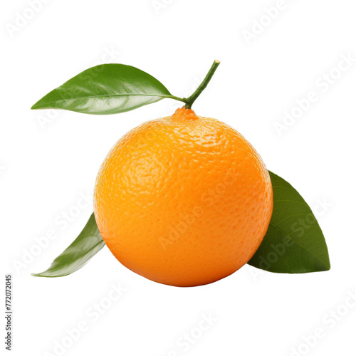 Orange fruit with leaf