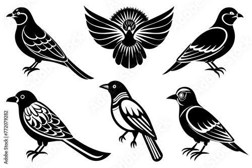 different-birds-icon-vector-illustration