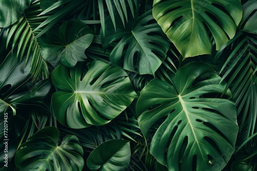 closeup nature view of green leaf and palms background. Flat lay, dark nature concept, tropical leaf - generative ai