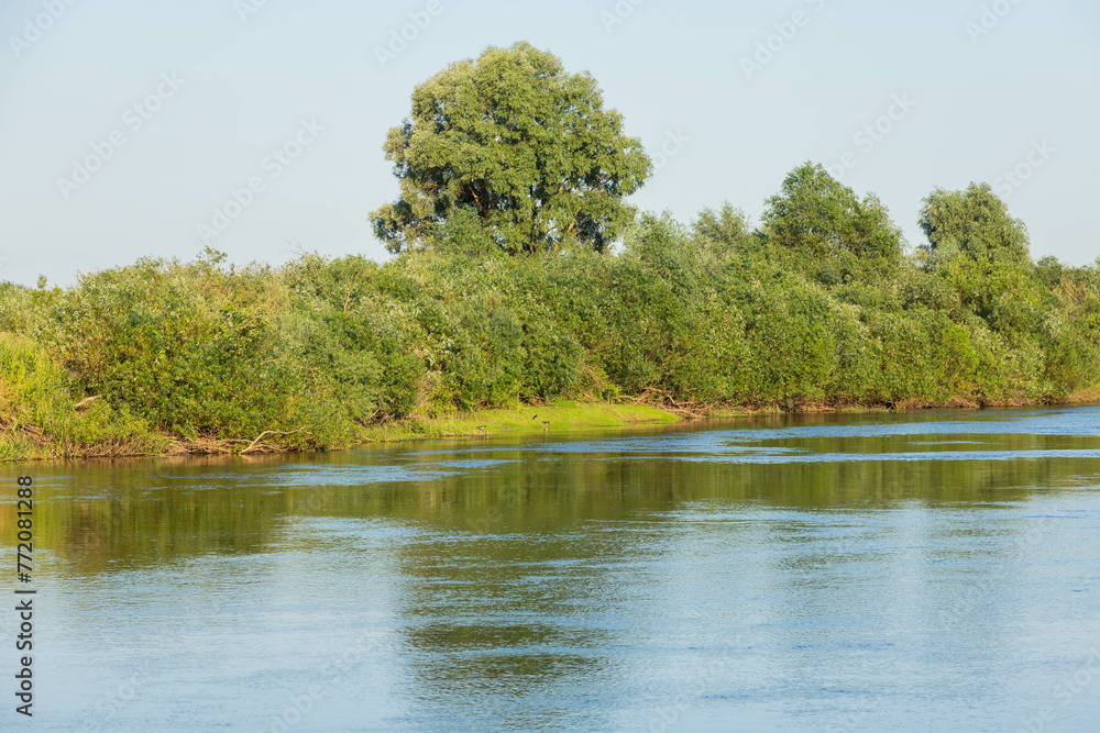 European landscape, river, blue sky on a background of green trees. European landscape, river, blue sky on a background of green trees.
